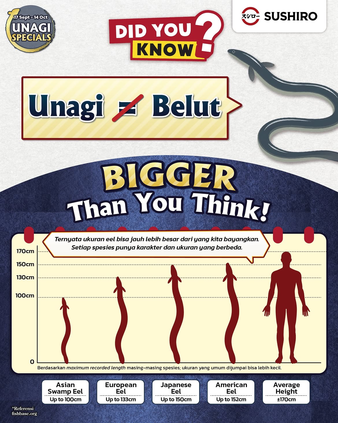 Promo 2